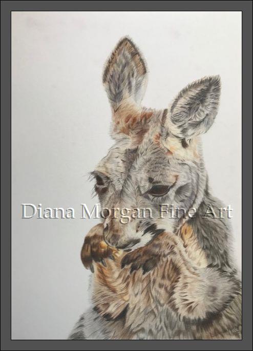 Kangaroo Spirit